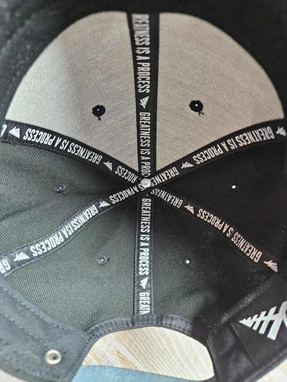Paper Planes Icon II Dad Twill Hat OSFM